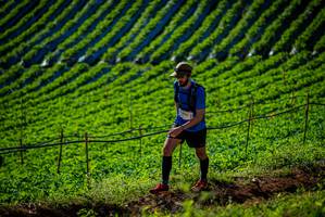 BIB: 1996
                            <button type="button" onclick="openModal(19160747)" class="btn btn-primary btn-sm float-right btn-popup" data-toggle="modal" data-target=".modal-high-quality">
                        <i class="fas fa-shopping-cart"></i> Add to Cart
                    </button>
                                            <button type="button" onclick="isThisMe(19160747, true)" class="btn btn-success btn-sm float-right btn-popup btn-isme hidden" data-toggle="tooltip" data-placement="bottom" title="นี่คือรูปของคุณใช่ไหม คลิกที่นี่เพื่อเอาเข้าอัลบั้ม">
                        <i class="fas fa-plus"></i> Add to album
                    </button>
                    <button type="button" onclick="isThisMe(19160747, false)" class="btn btn-warning btn-sm float-right btn-popup btn-isnotme hidden">
                        <i class="fas fa-ban"></i> Remove from album
                    </button>